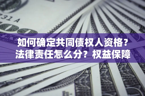 济南如何确定共同债权人资格？法律责任怎么分？权益保障技巧揭秘！