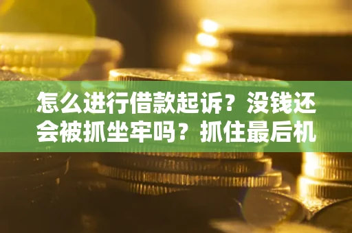 济南怎么进行借款起诉？没钱还会被抓坐牢吗？抓住最后机会！