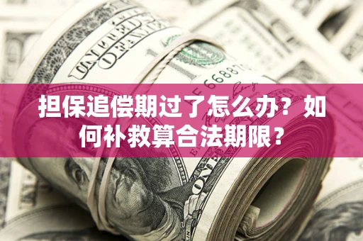济南担保追偿期过了怎么办？如何补救算合法期限？