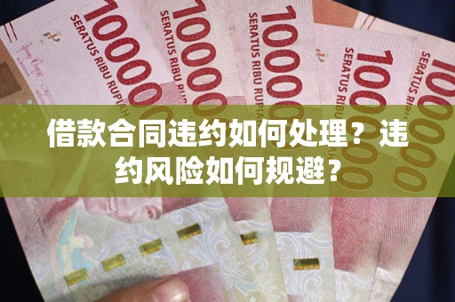 济南借款合同违约如何处理？违约风险如何规避？