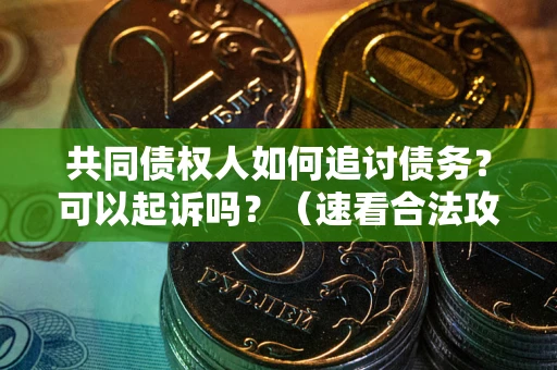 济南共同债权人如何追讨债务？可以起诉吗？（速看合法攻略）