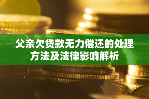 济南父亲欠贷款无力偿还的处理方法及法律影响解析